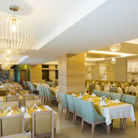 Terrace Elite Ultra 5* シダ